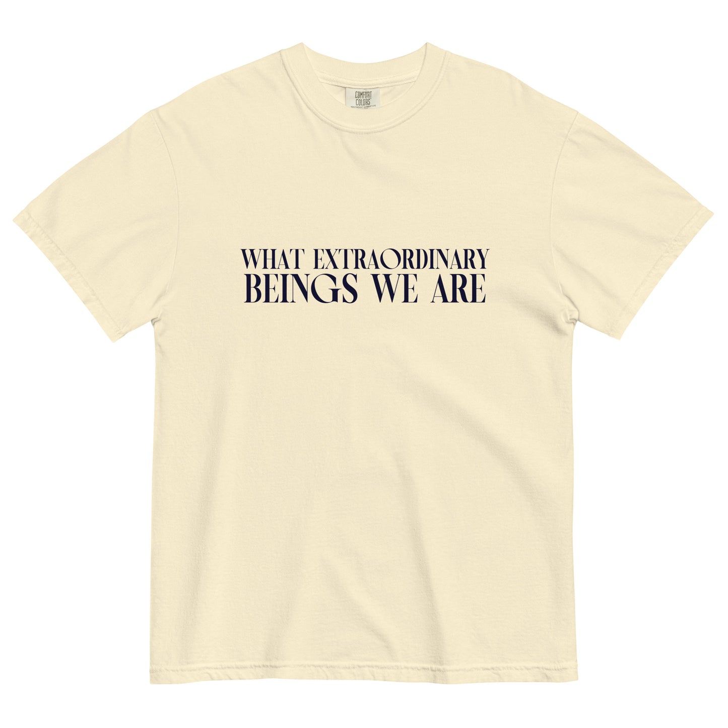 Oshamir Unisex garment-dyed heavyweight t-shirt