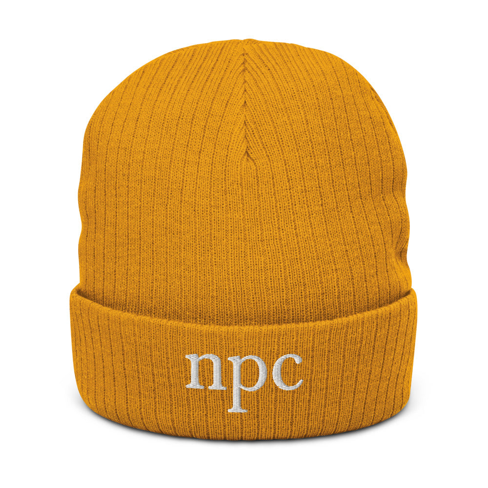 NPC Recycled Beanie